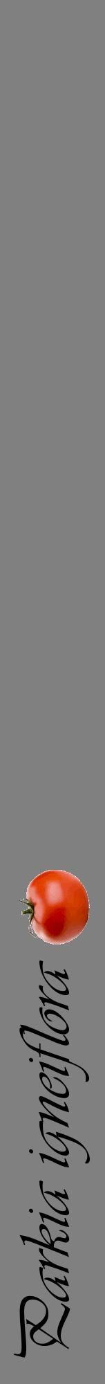 Étiquette de : Parkia igneiflora - format a - style noire57viv avec comestibilité simplifiée