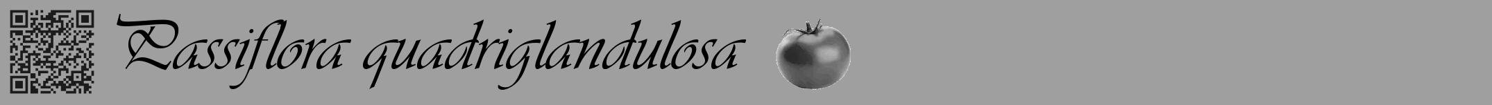 Étiquette de : Passiflora quadriglandulosa - format a - style noire24viv avec qrcode et comestibilité simplifiée