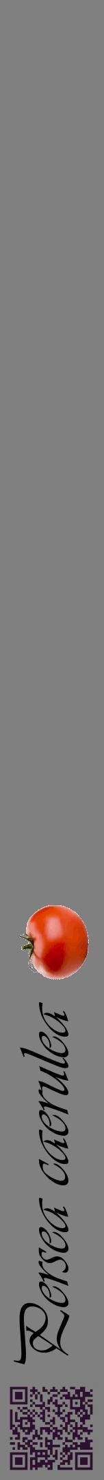 Étiquette de : Persea caerulea - format a - style noire57viv avec qrcode et comestibilité simplifiée