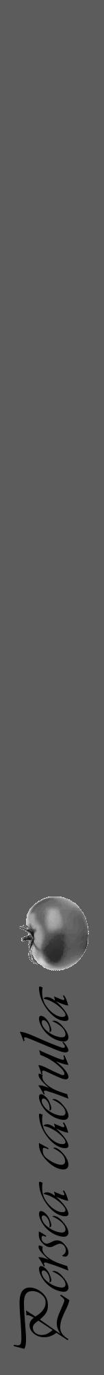 Étiquette de : Persea caerulea - format a - style noire49viv avec comestibilité simplifiée - position verticale