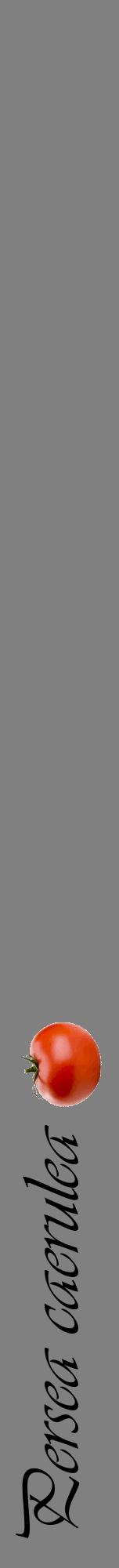 Étiquette de : Persea caerulea - format a - style noire57viv avec comestibilité simplifiée