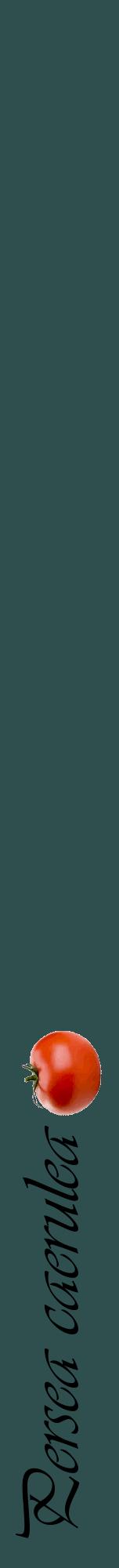 Étiquette de : Persea caerulea - format a - style noire58viv avec comestibilité simplifiée
