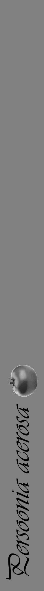 Étiquette de : Persoonia acerosa - format a - style noire50viv avec comestibilité simplifiée - position verticale