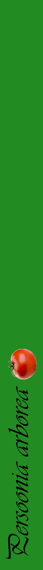 Étiquette de : Persoonia arborea - format a - style noire10viv avec comestibilité simplifiée