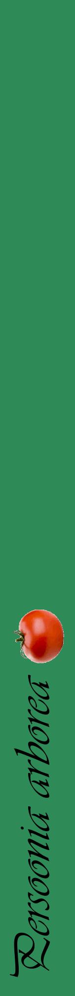 Étiquette de : Persoonia arborea - format a - style noire11viv avec comestibilité simplifiée