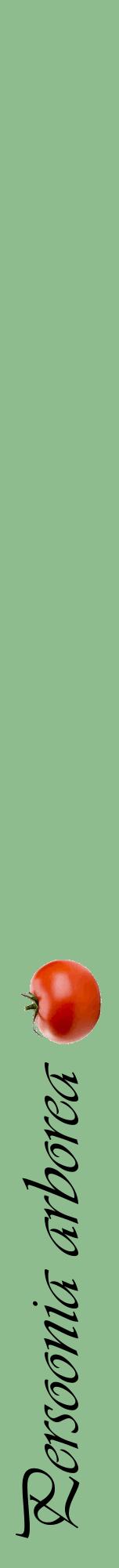 Étiquette de : Persoonia arborea - format a - style noire13viv avec comestibilité simplifiée