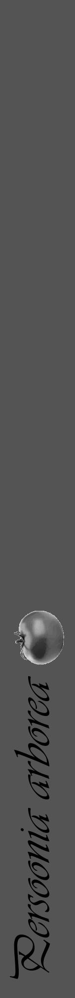 Étiquette de : Persoonia arborea - format a - style noire30viv avec comestibilité simplifiée - position verticale