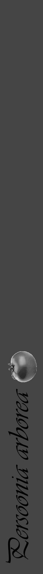 Étiquette de : Persoonia arborea - format a - style noire58viv avec comestibilité simplifiée - position verticale