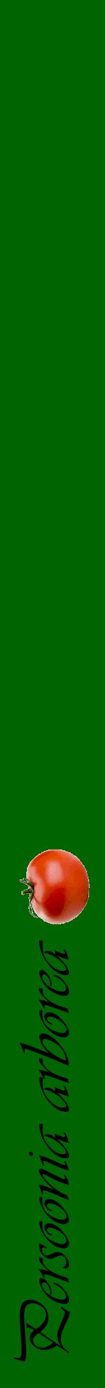 Étiquette de : Persoonia arborea - format a - style noire8viv avec comestibilité simplifiée