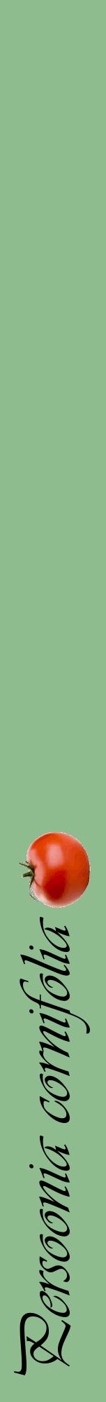 Étiquette de : Persoonia cornifolia - format a - style noire13viv avec comestibilité simplifiée