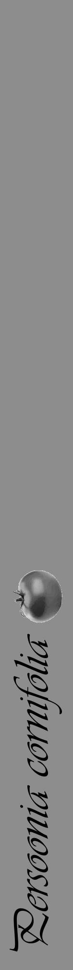 Étiquette de : Persoonia cornifolia - format a - style noire2viv avec comestibilité simplifiée - position verticale