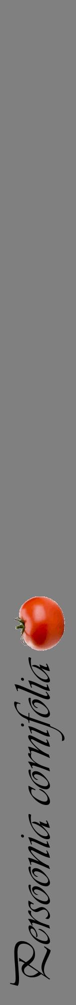 Étiquette de : Persoonia cornifolia - format a - style noire57viv avec comestibilité simplifiée