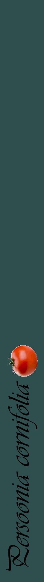 Étiquette de : Persoonia cornifolia - format a - style noire58viv avec comestibilité simplifiée