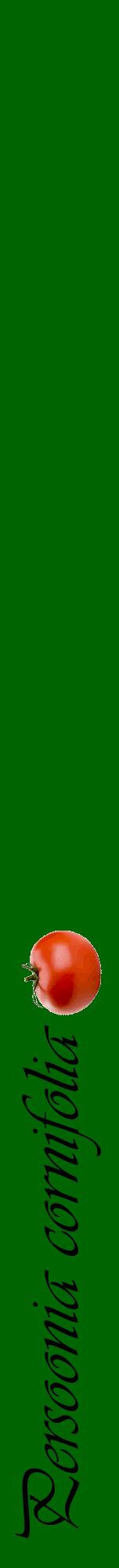Étiquette de : Persoonia cornifolia - format a - style noire8viv avec comestibilité simplifiée