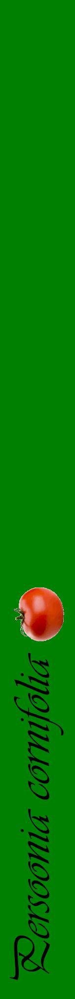 Étiquette de : Persoonia cornifolia - format a - style noire9viv avec comestibilité simplifiée