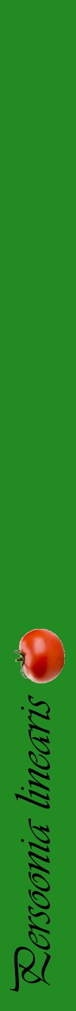 Étiquette de : Persoonia linearis - format a - style noire10viv avec comestibilité simplifiée