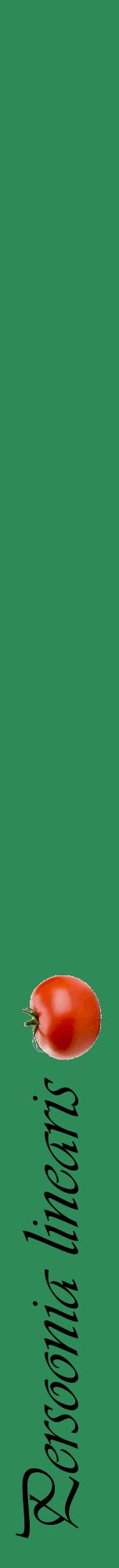 Étiquette de : Persoonia linearis - format a - style noire11viv avec comestibilité simplifiée
