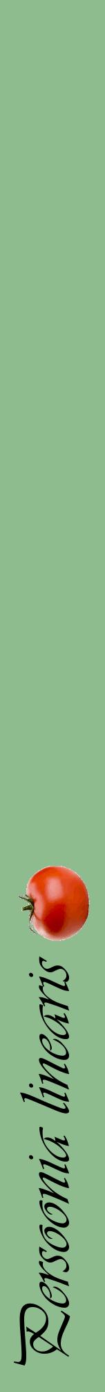Étiquette de : Persoonia linearis - format a - style noire13viv avec comestibilité simplifiée