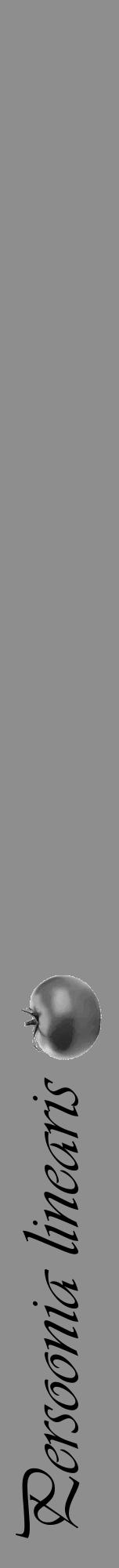 Étiquette de : Persoonia linearis - format a - style noire25viv avec comestibilité simplifiée - position verticale