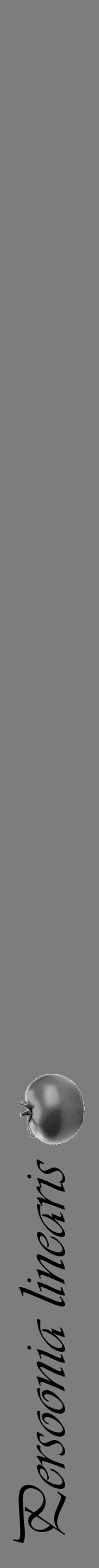 Étiquette de : Persoonia linearis - format a - style noire35simpleviv avec comestibilité simplifiée - position verticale