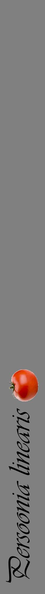 Étiquette de : Persoonia linearis - format a - style noire57viv avec comestibilité simplifiée