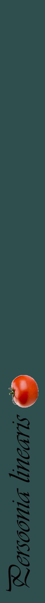 Étiquette de : Persoonia linearis - format a - style noire58viv avec comestibilité simplifiée