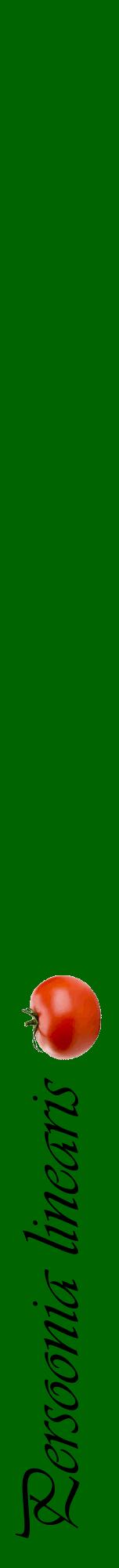 Étiquette de : Persoonia linearis - format a - style noire8viv avec comestibilité simplifiée