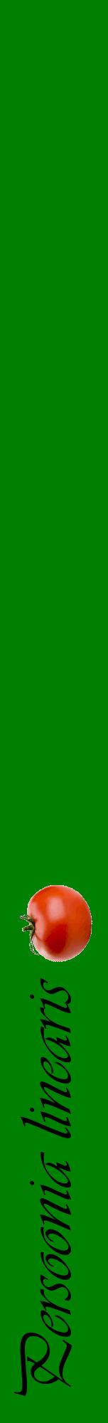 Étiquette de : Persoonia linearis - format a - style noire9viv avec comestibilité simplifiée