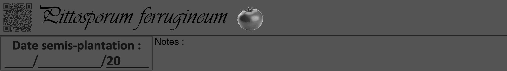 Étiquette de : Pittosporum ferrugineum - format a - style noire36viv avec qrcode et comestibilité simplifiée