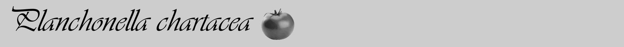 Étiquette de : Planchonella chartacea - format a - style noire41viv avec comestibilité simplifiée