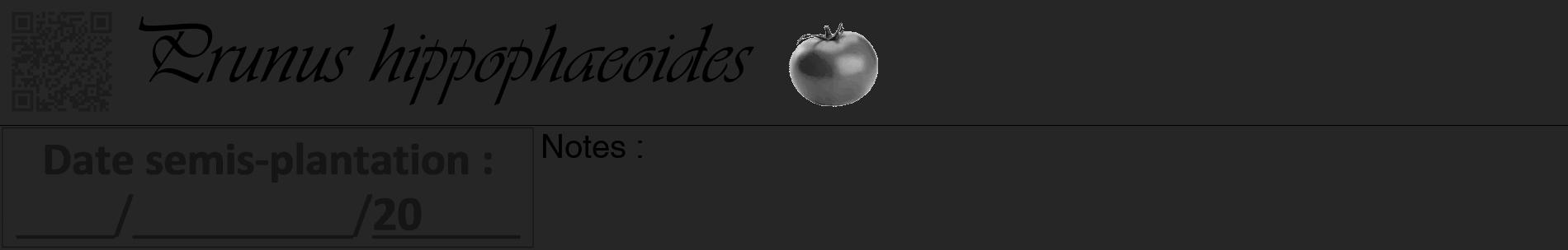 Étiquette de : Prunus hippophaeoides - format a - style noire29basiqueviv avec qrcode et comestibilité simplifiée
