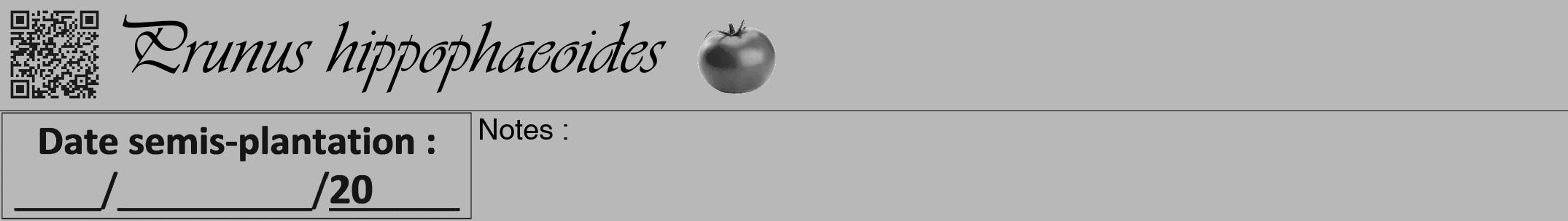 Étiquette de : Prunus hippophaeoides - format a - style noire39viv avec qrcode et comestibilité simplifiée
