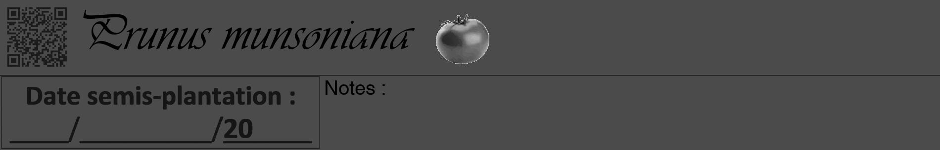 Étiquette de : Prunus munsoniana - format a - style noire9basiqueviv avec qrcode et comestibilité simplifiée