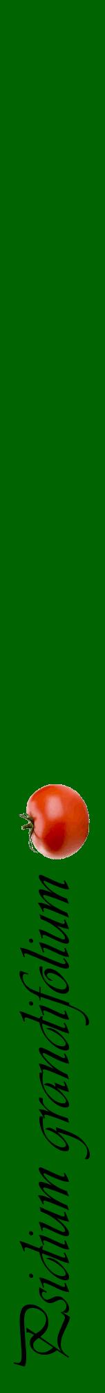 Étiquette de : Psidium grandifolium - format a - style noire8viv avec comestibilité simplifiée