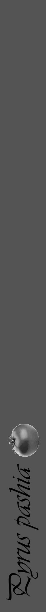 Étiquette de : Pyrus pashia - format a - style noire36viv avec comestibilité simplifiée - position verticale