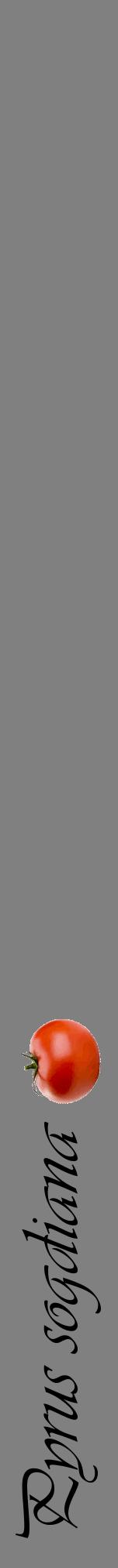 Étiquette de : Pyrus sogdiana - format a - style noire57viv avec comestibilité simplifiée