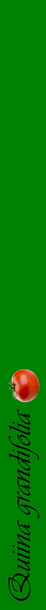 Étiquette de : Quiina grandifolia - format a - style noire9viv avec comestibilité simplifiée
