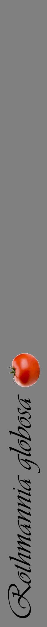Étiquette de : Rothmannia globosa - format a - style noire57viv avec comestibilité simplifiée