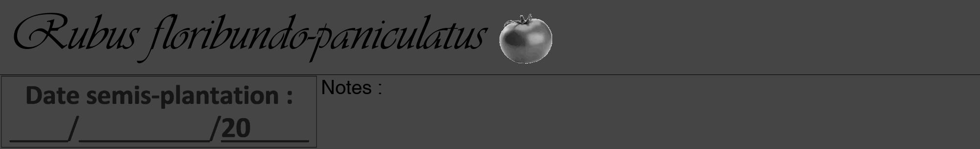 Étiquette de : Rubus floribundo-paniculatus - format a - style noire58viv avec comestibilité simplifiée