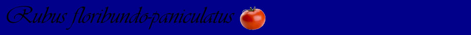 Étiquette de : Rubus floribundo-paniculatus - format a - style noire7basiqueviv avec comestibilité simplifiée