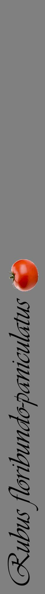 Étiquette de : Rubus floribundo-paniculatus - format a - style noire57viv avec comestibilité simplifiée