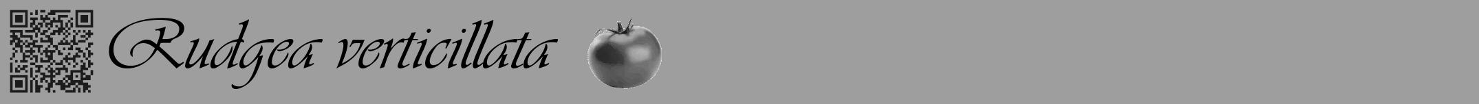 Étiquette de : Rudgea verticillata - format a - style noire23viv avec qrcode et comestibilité simplifiée