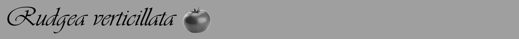 Étiquette de : Rudgea verticillata - format a - style noire24viv avec comestibilité simplifiée