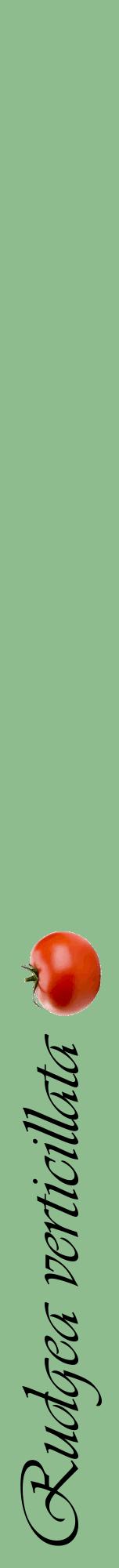 Étiquette de : Rudgea verticillata - format a - style noire13viv avec comestibilité simplifiée