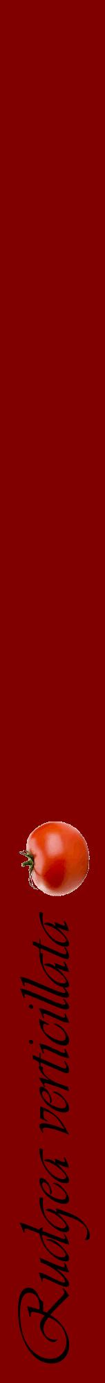 Étiquette de : Rudgea verticillata - format a - style noire29viv avec comestibilité simplifiée