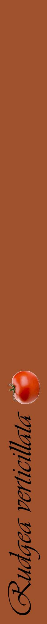 Étiquette de : Rudgea verticillata - format a - style noire32viv avec comestibilité simplifiée