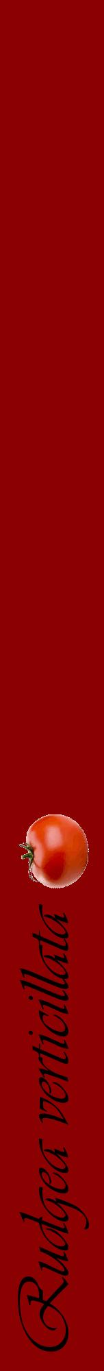 Étiquette de : Rudgea verticillata - format a - style noire34viv avec comestibilité simplifiée