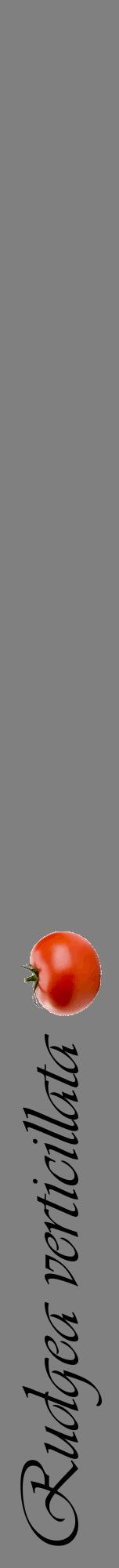 Étiquette de : Rudgea verticillata - format a - style noire57viv avec comestibilité simplifiée