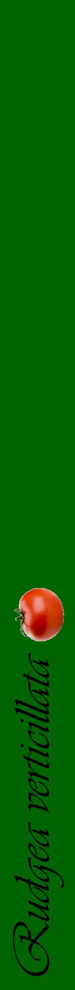 Étiquette de : Rudgea verticillata - format a - style noire8viv avec comestibilité simplifiée