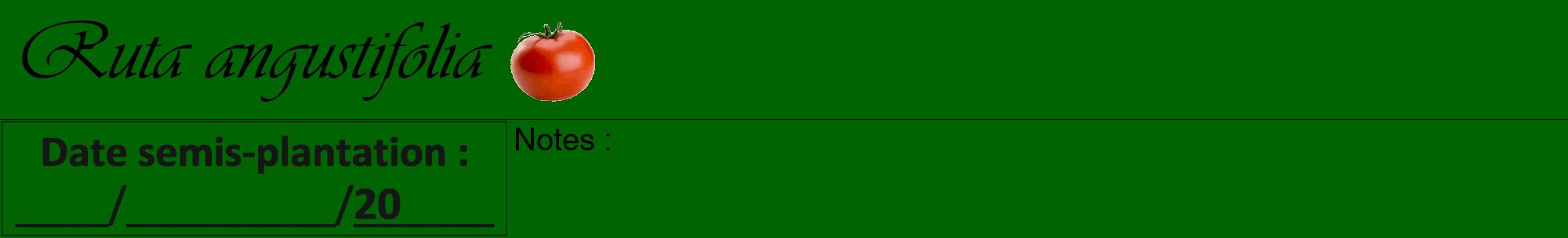 Étiquette de : Ruta angustifolia - format a - style noire8viv avec comestibilité simplifiée
